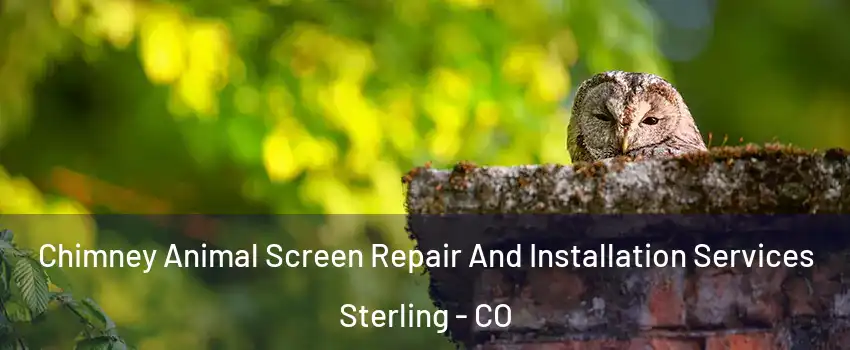  Chimney Animal Screen Repair And Installation Services Sterling - CO