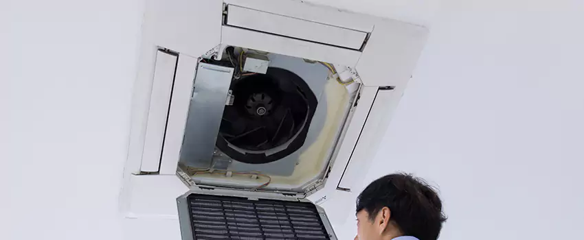Benefits of Professional Air Duct Cleaning in Sterling, Colorado