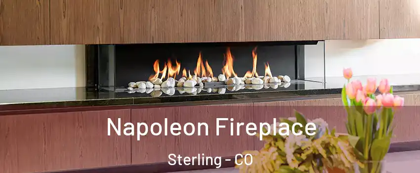  Napoleon Fireplace Sterling - CO