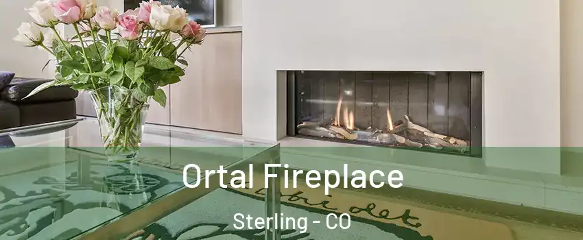  Ortal Fireplace Sterling - CO